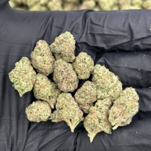 Zour Gelato 🍬 