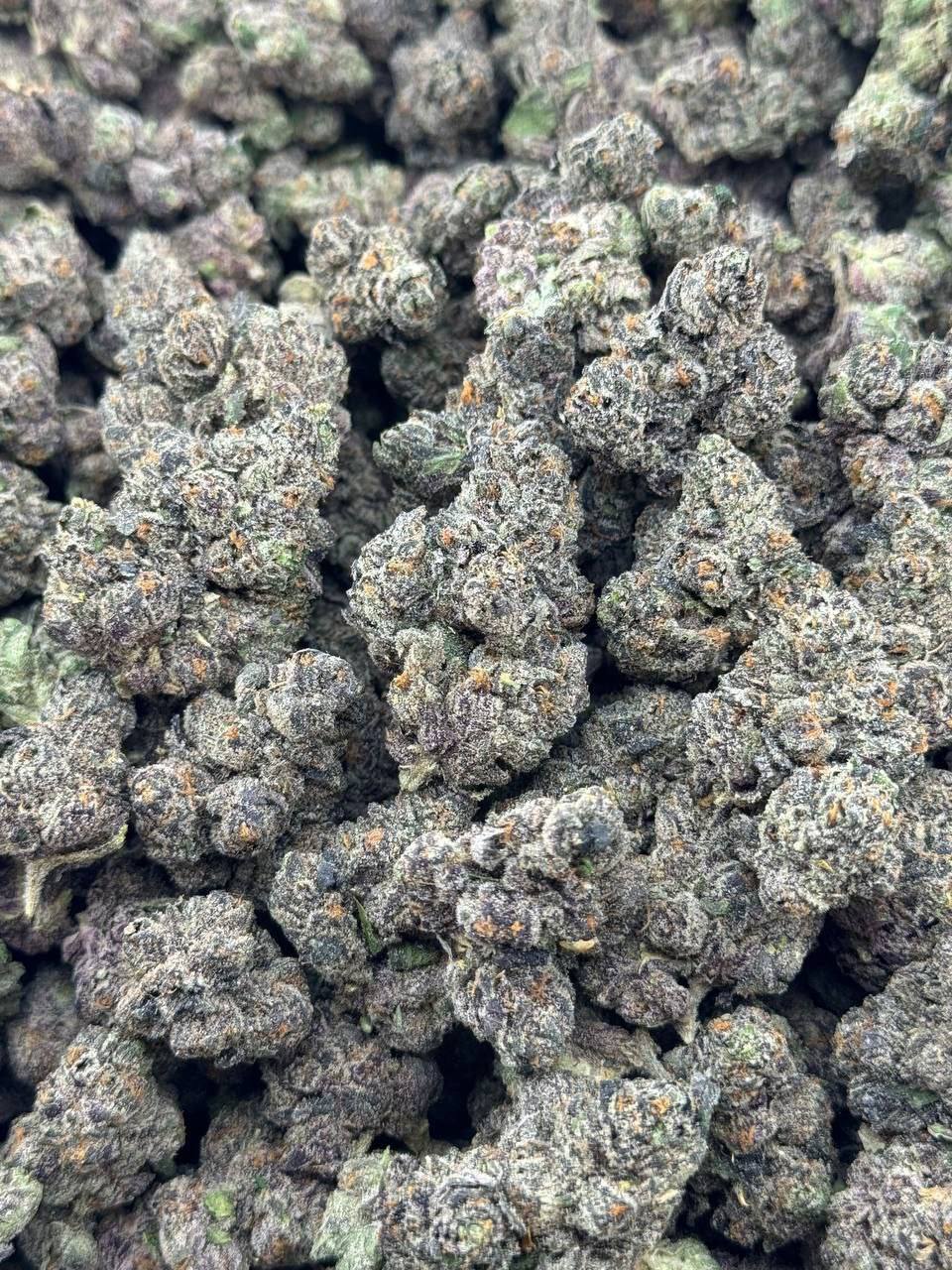 ZandyLand 