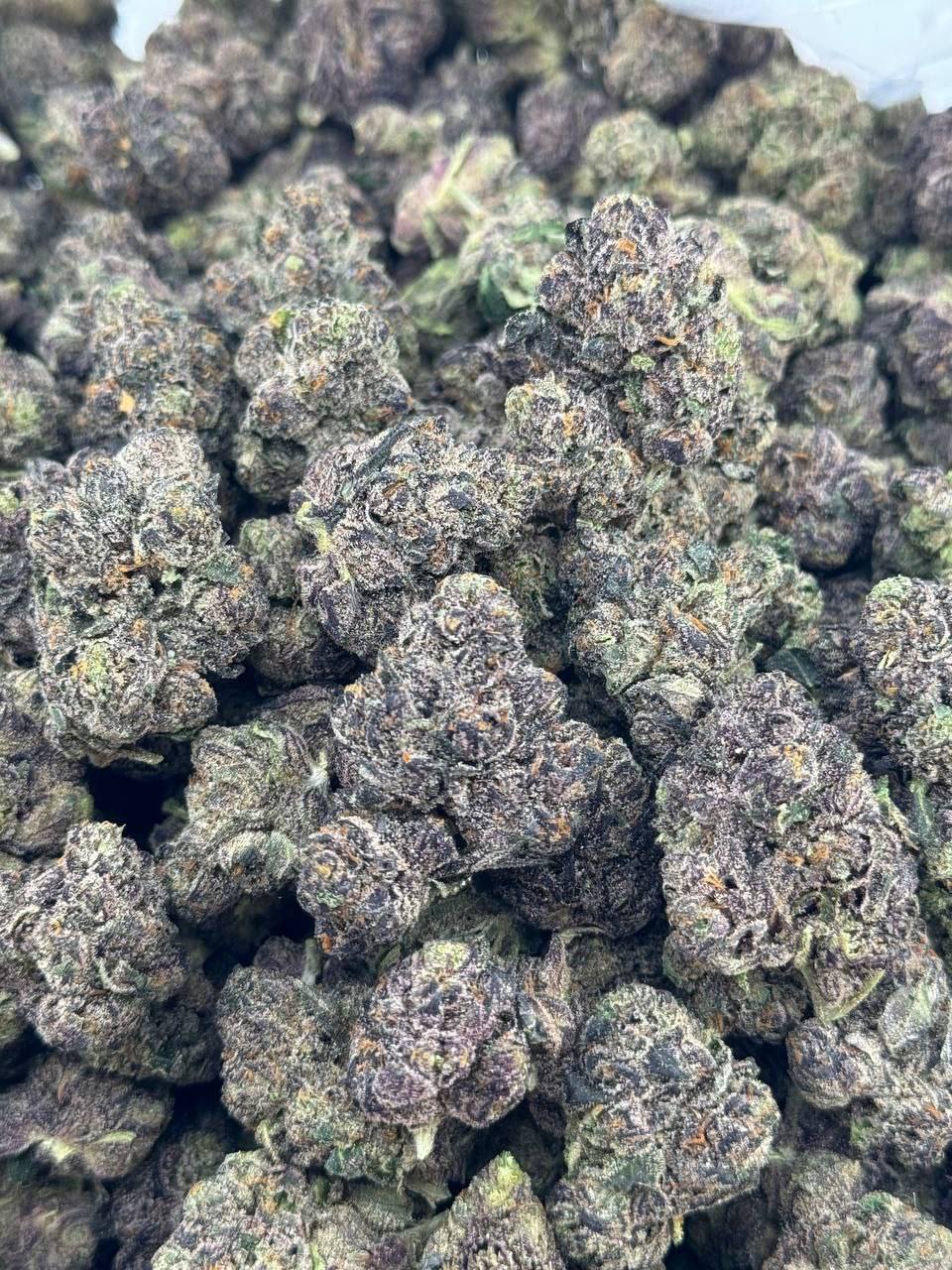 Jet fuel runtz 