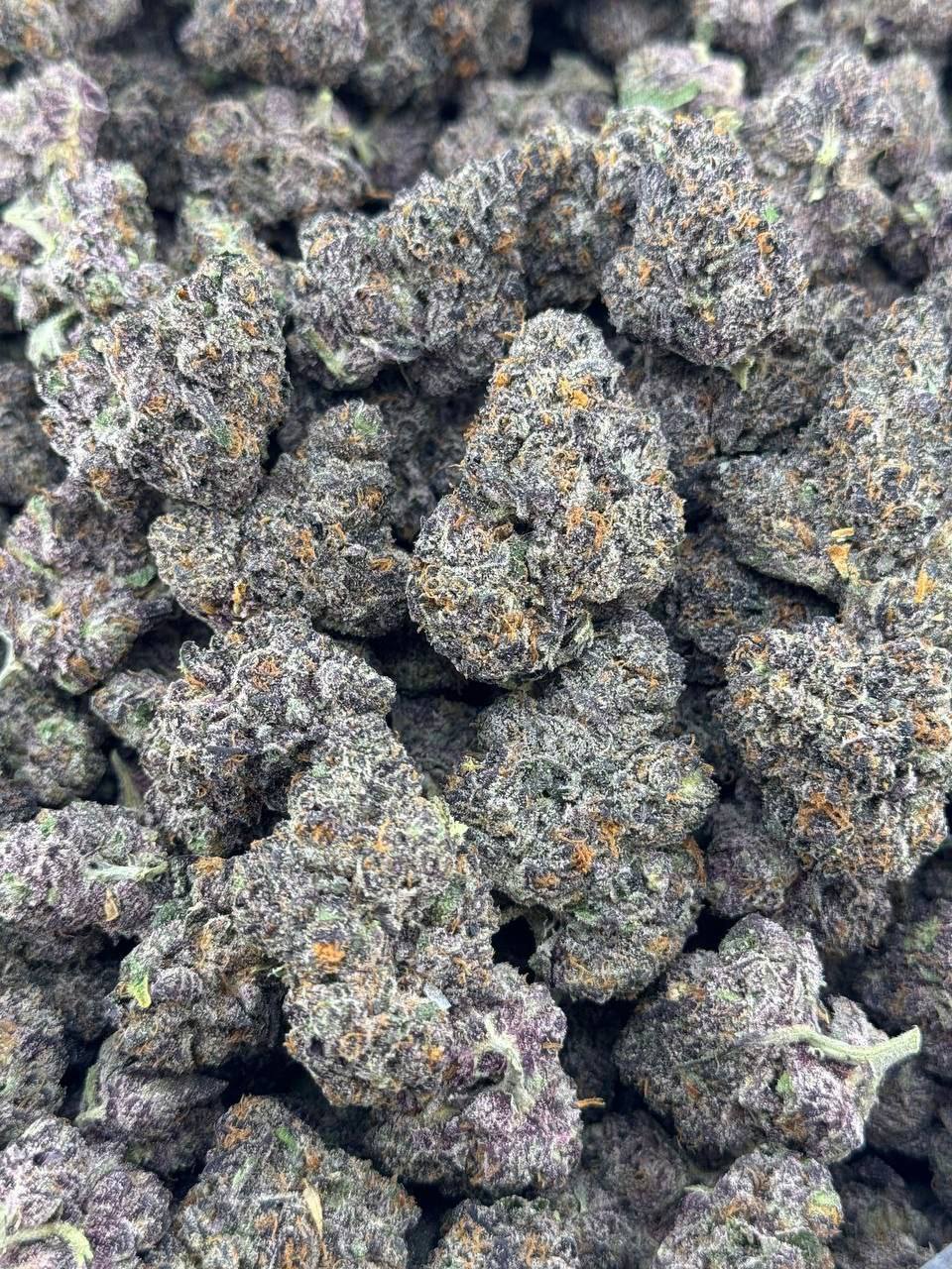gelato runtz 