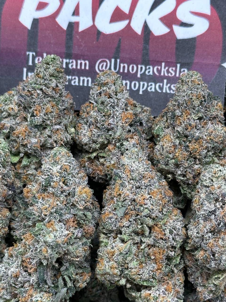 Gelato Electron 