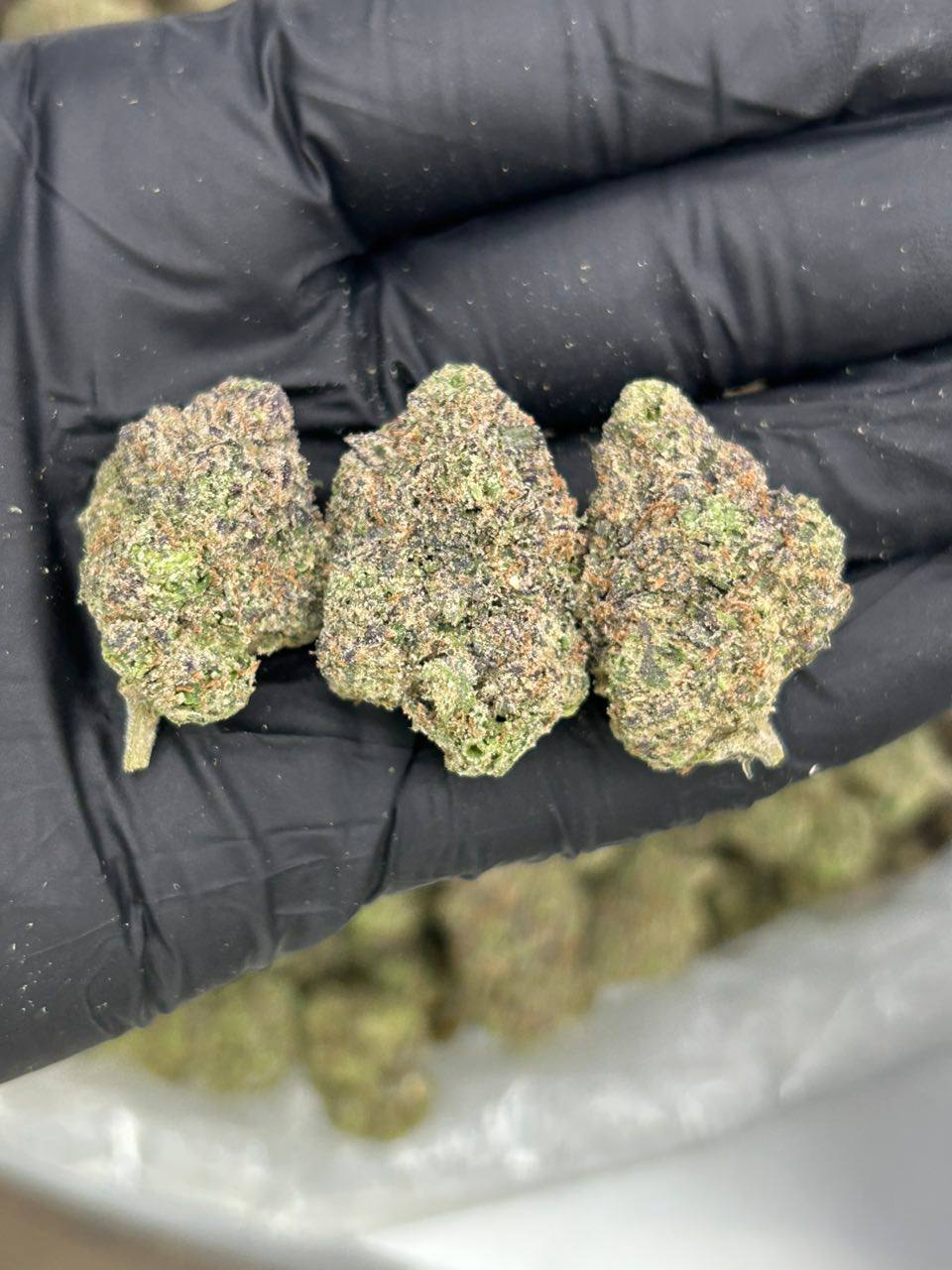 Blue Berry Swirl