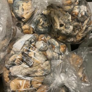Mushrooms