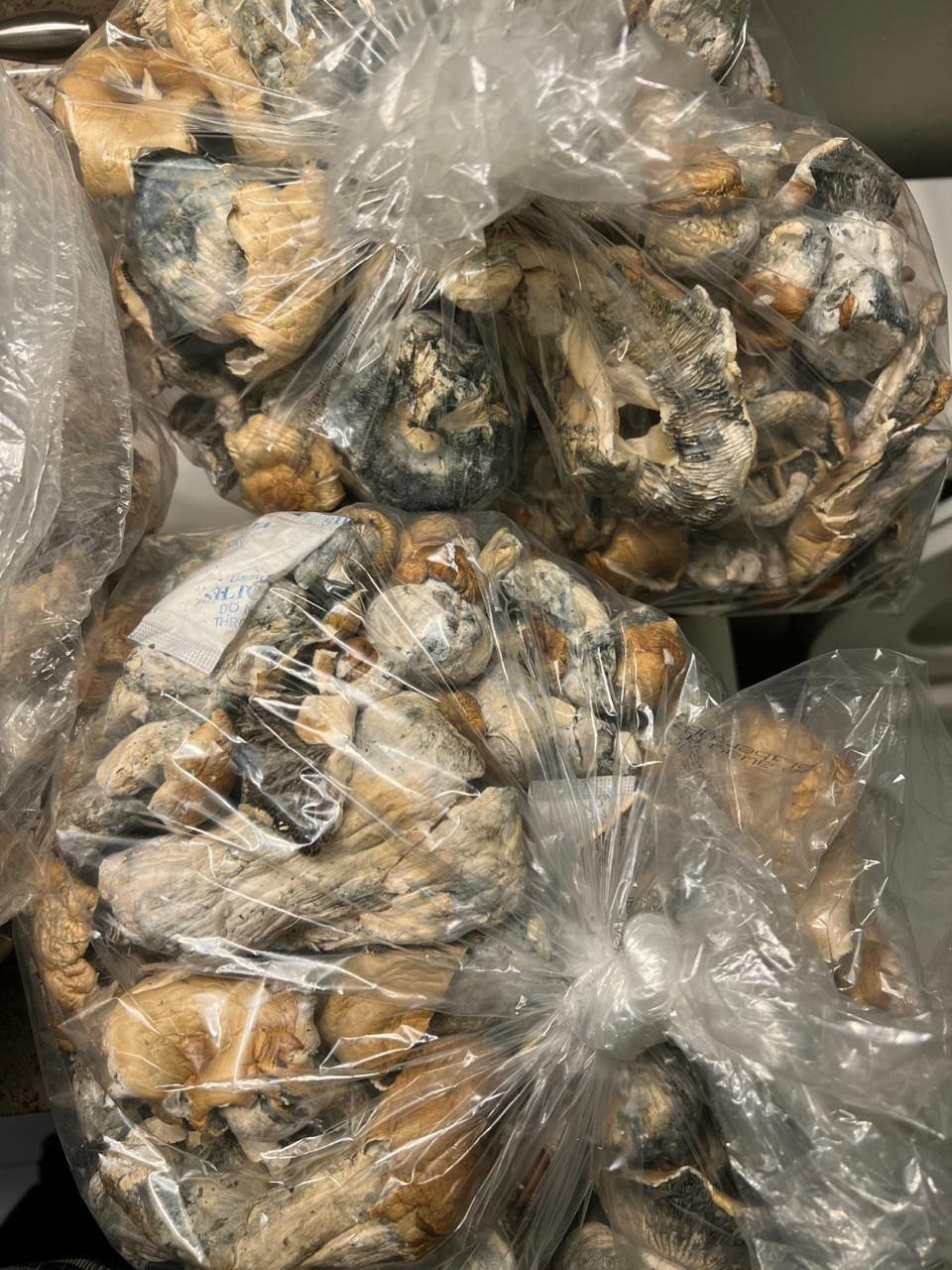 Mushrooms