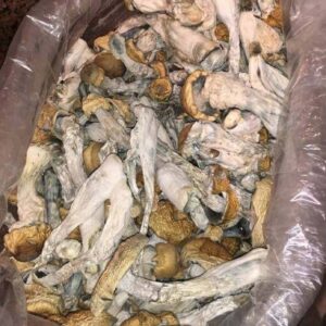 HillBilly - Mushrooms