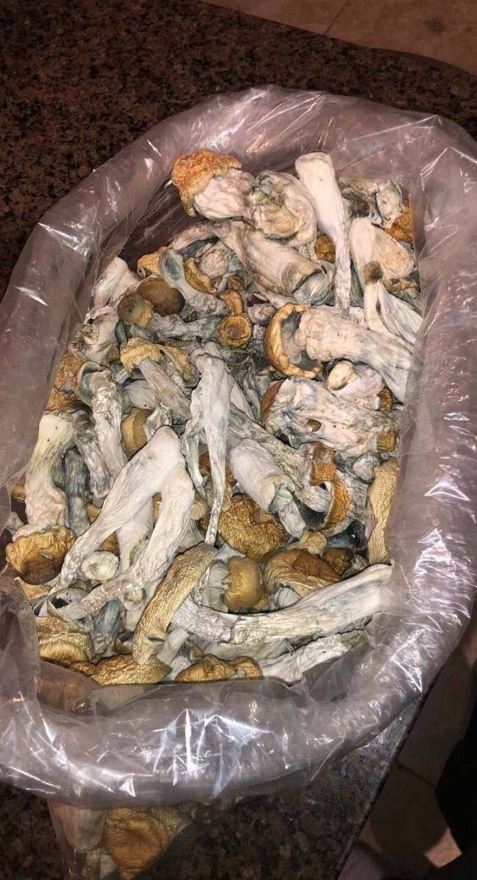 HillBilly – Mushrooms